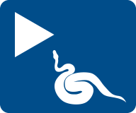 Icon contains a "play" symbol and a python silhouette