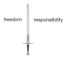 The simplicity of variables in Python can be viewed as a double-edged sword: Python allows a lot of freedom, which is a good thing, but with that freedom comes responsibility, which, although not a “bad” thing, in this context means more work.