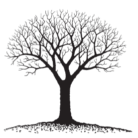 Branching in a program is like climbing a tree. We choose a direction (branch).