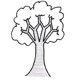 Branching in a program is unlike climbing a tree. Branches can rejoin later.