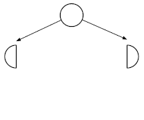Branching once splits all possibilities (full circle) to two categories (two half cicles).