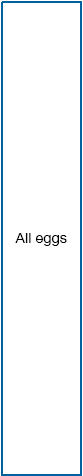 Categories: All eggs.